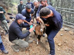 595598552_1178771904438503_4315856454863409301_n