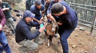 595598552_1178771904438503_4315856454863409301_n