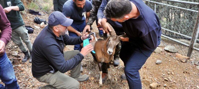 595598552_1178771904438503_4315856454863409301_n