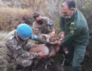 596145713_10235153573811612_5583450915449275902_n-thumb