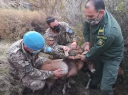 596145713_10235153573811612_5583450915449275902_n-thumb