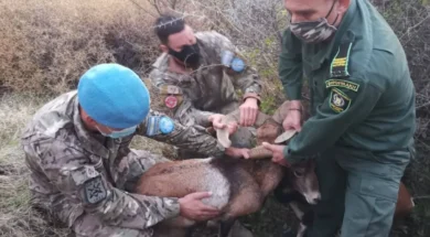 596145713_10235153573811612_5583450915449275902_n-thumb