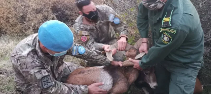 596145713_10235153573811612_5583450915449275902_n-thumb