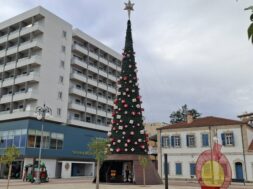 599683548_3390697327755620_1318010807562878684_n