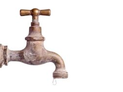 600281592_1323272099832768_3381680031786504600_n