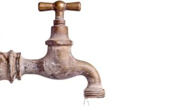 600281592_1323272099832768_3381680031786504600_n