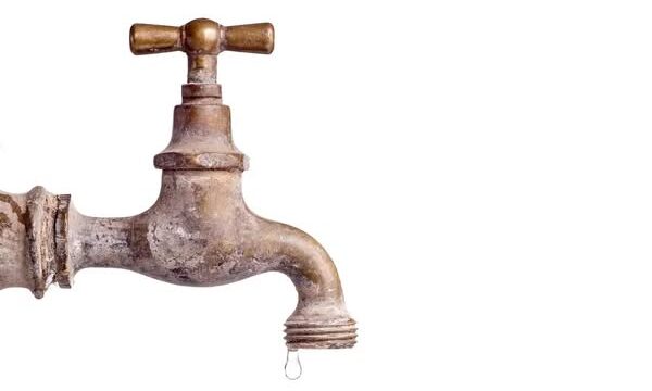 600281592_1323272099832768_3381680031786504600_n