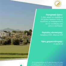 600914470_1323899556436689_8104273987547876603_n