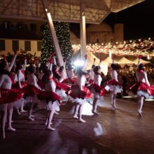 601005355_1339598314877519_8559341863210191225_n