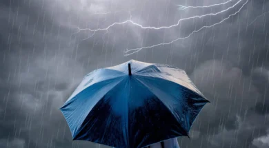 66de8295220000730027fba4_2048x1362-thumb (1)