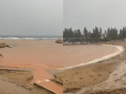 6786788787787887-thumb