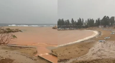 6786788787787887-thumb