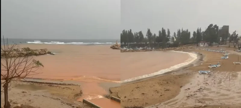 6786788787787887-thumb