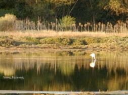 6abfdf8a-41ac-4a46-8610-fb63e07e9047