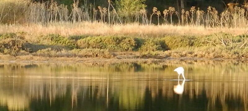 6abfdf8a-41ac-4a46-8610-fb63e07e9047