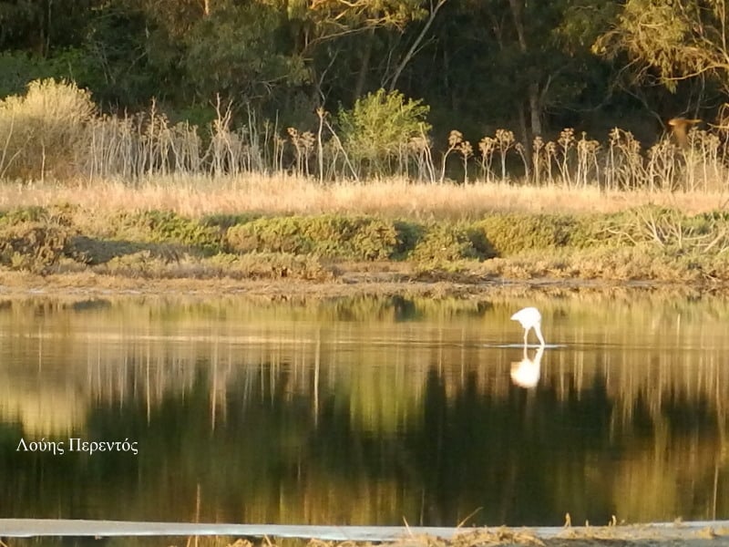 Η πρωινή ενημέρωση της ημέρας από τη Σκαλιώτισσα