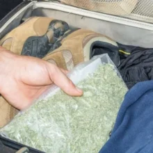 73149a4578395d4fc81cbcf78cac561c-thumb