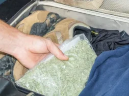 73149a4578395d4fc81cbcf78cac561c-thumb