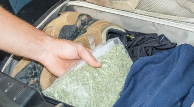 73149a4578395d4fc81cbcf78cac561c-thumb