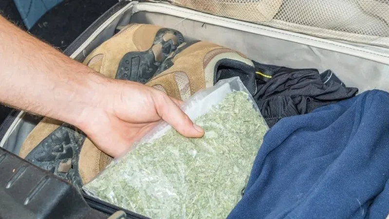 73149a4578395d4fc81cbcf78cac561c-thumb