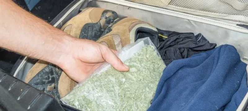 73149a4578395d4fc81cbcf78cac561c-thumb