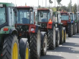 742379-large_thumbnail