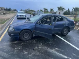 797d5a77_05cd_4492_8270_011718a90782-thumb