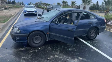 797d5a77_05cd_4492_8270_011718a90782-thumb