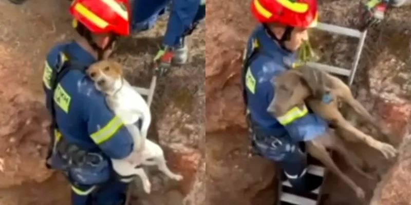 Διάσωση της Άρτεμις και της Μάρως από λάκκο 7 μέτρων  (βίντεο)