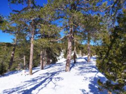 82880428_2795721207174872_5117917793378893824_n