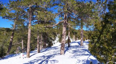 82880428_2795721207174872_5117917793378893824_n