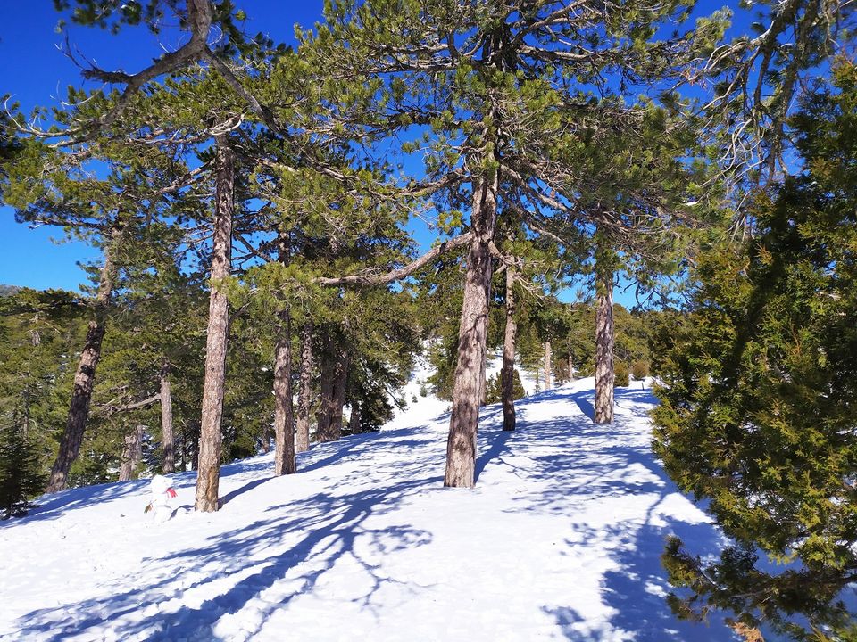 Πώς θα είναι ο καιρός μέχρι το τέλος του 2025 – Πότε θα δούμε «Λευκό» Τροόδος