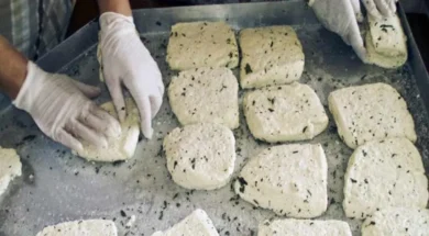 845355-large_thumbnail