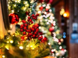 Christmas-image-for-website-scaled-1