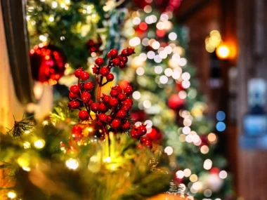 Christmas-image-for-website-scaled-1