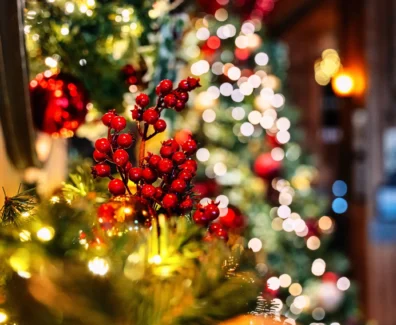 Christmas-image-for-website-scaled-1