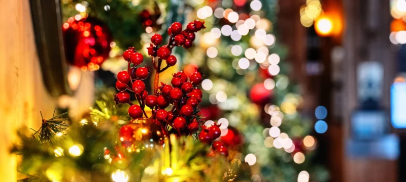 Christmas-image-for-website-scaled-1