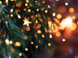 Christmas tree with garland lights. Evening city with blurred background