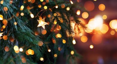 Christmas tree with garland lights. Evening city with blurred background