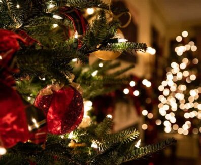 Christmases-1024×684-1