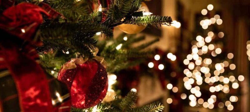 Christmases-1024×684-1