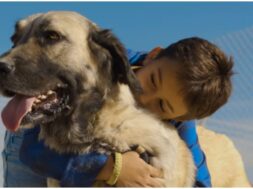 SIMBA_KATAFIGIO_SKILOI-2048×1154