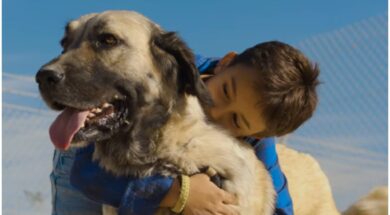 SIMBA_KATAFIGIO_SKILOI-2048×1154