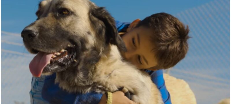 SIMBA_KATAFIGIO_SKILOI-2048×1154