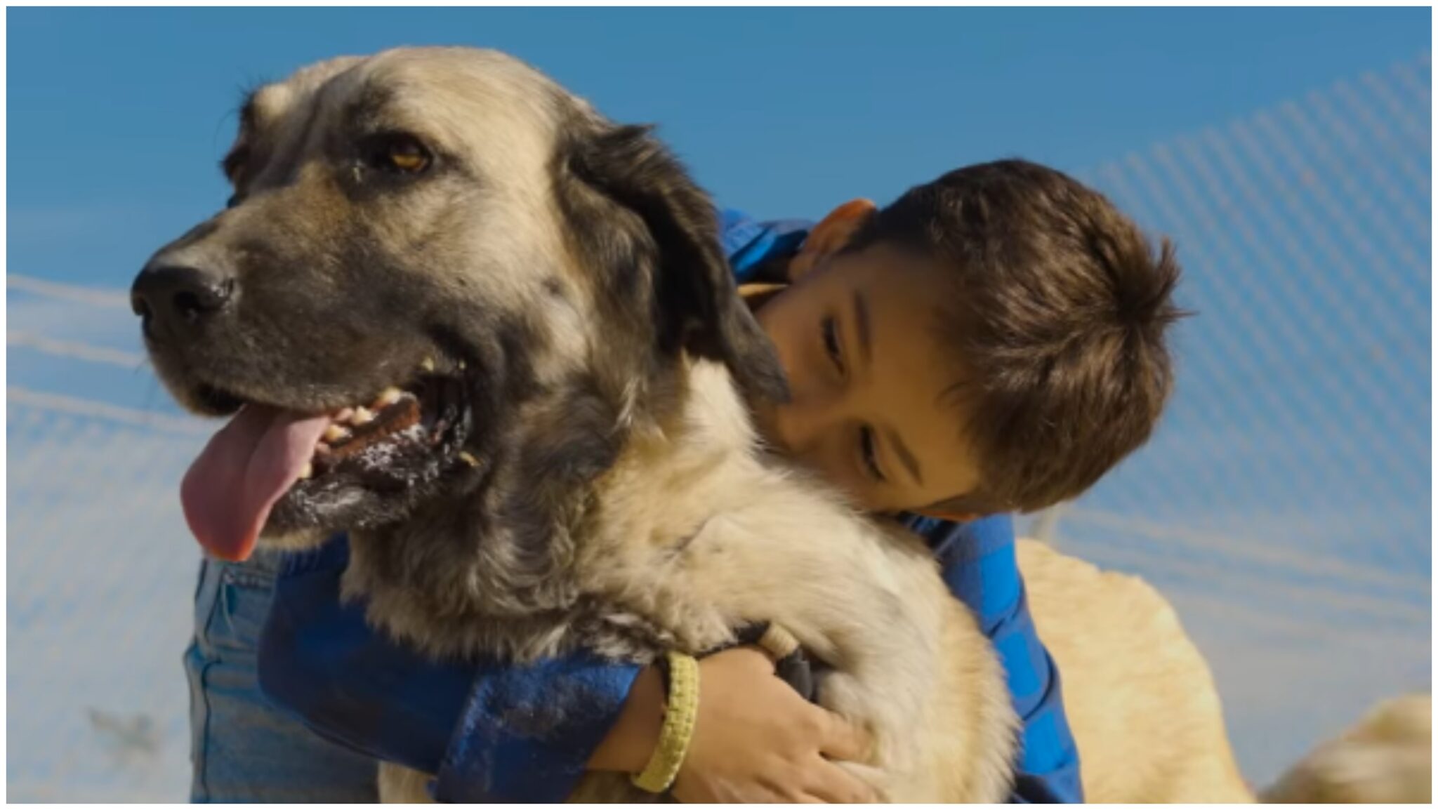 Το μήνυμα του Simba Animal Aid Cyprus – Αυτές τις γιορτές υιοθέτησε ένα σκυλάκι από το Simba Animal Aid Cyprus