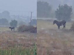 Screenshot-2025-12-08-143435