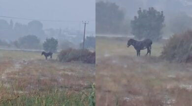 Screenshot-2025-12-08-143435