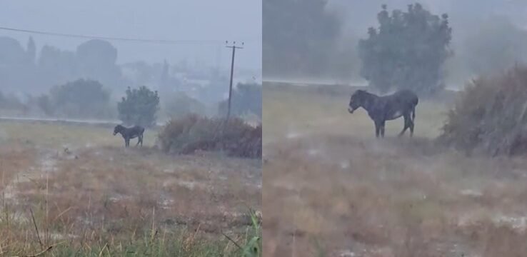 Screenshot-2025-12-08-143435