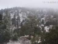 Screenshot-2025-12-17-074026