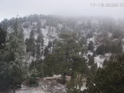 Screenshot-2025-12-17-074026